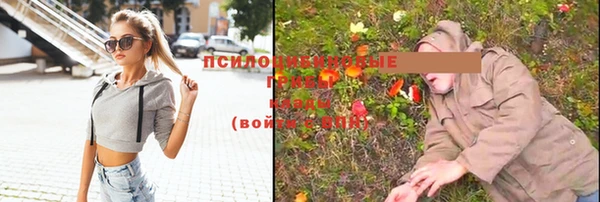 mix Нея