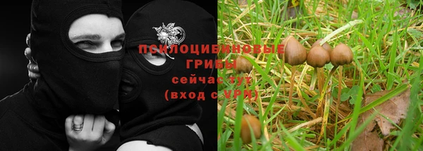 каннабис Нефтегорск