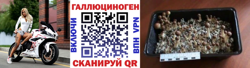 Псилоцибиновые грибы ЛСД  Чебоксары 